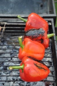 veggies on the grill