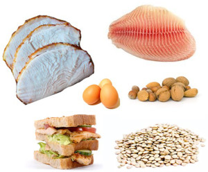 Macronutrients: Proteins