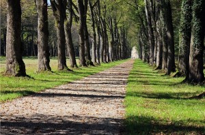 Walking path